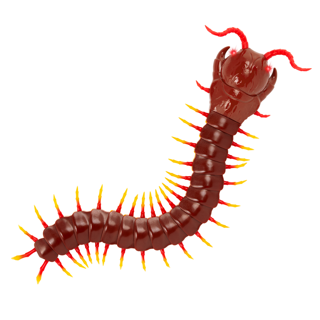 Terra - Remote Controlled Centipede - Giant Scolopendra