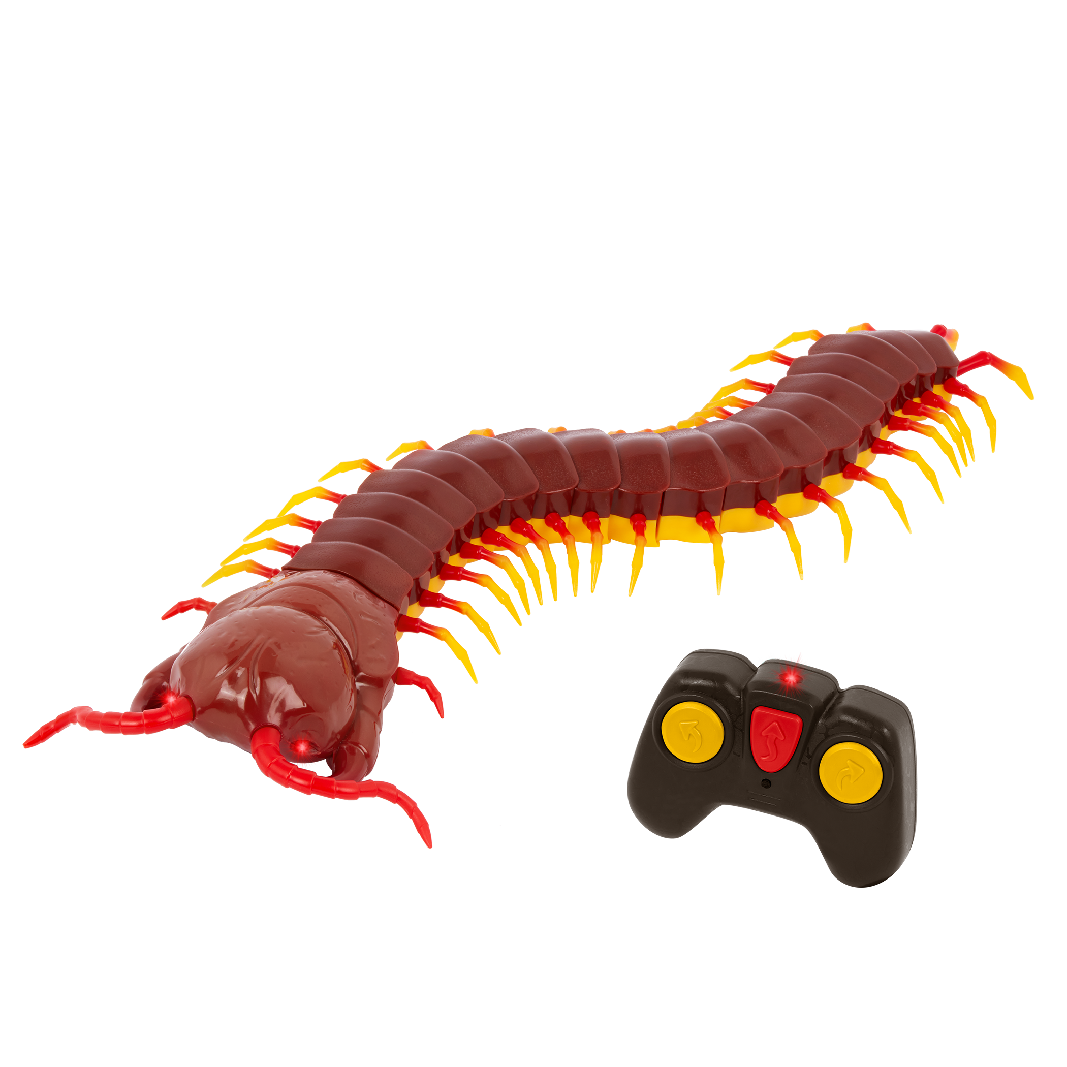 Terra - Remote Controlled Centipede - Giant Scolopendra