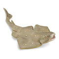 Collecta - Angel Shark