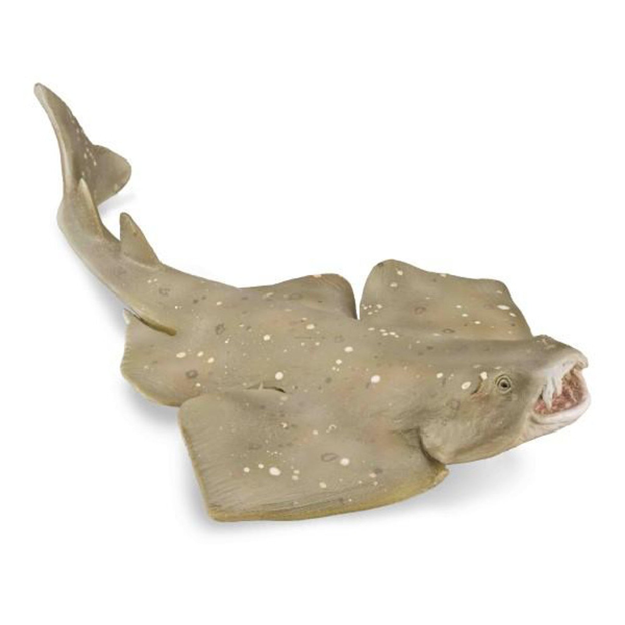 Collecta - Angel Shark