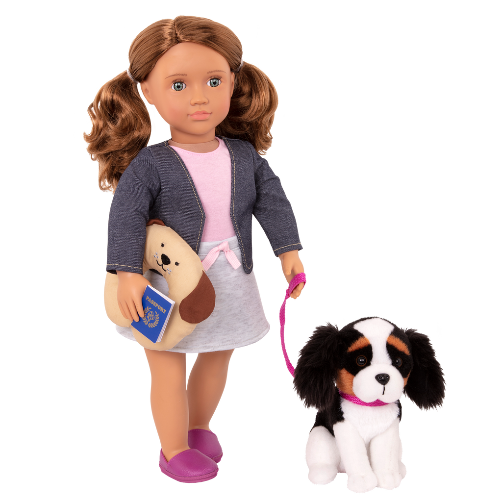18-inch doll with brown hair, turquoise eyes, travel accessories and Bernese mountain dog plushie