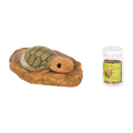 Turtle plushie playset