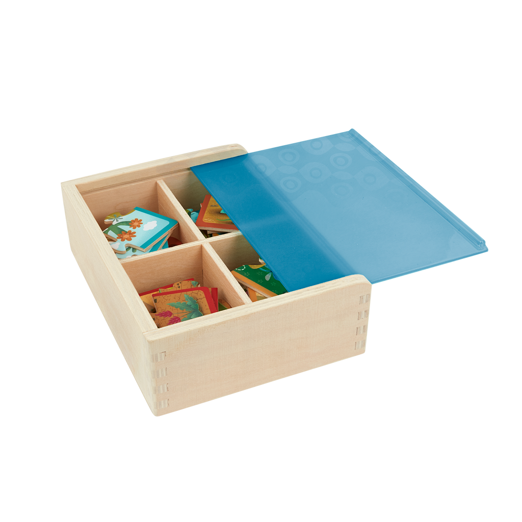 Dinosaur jigsaw puzzles.