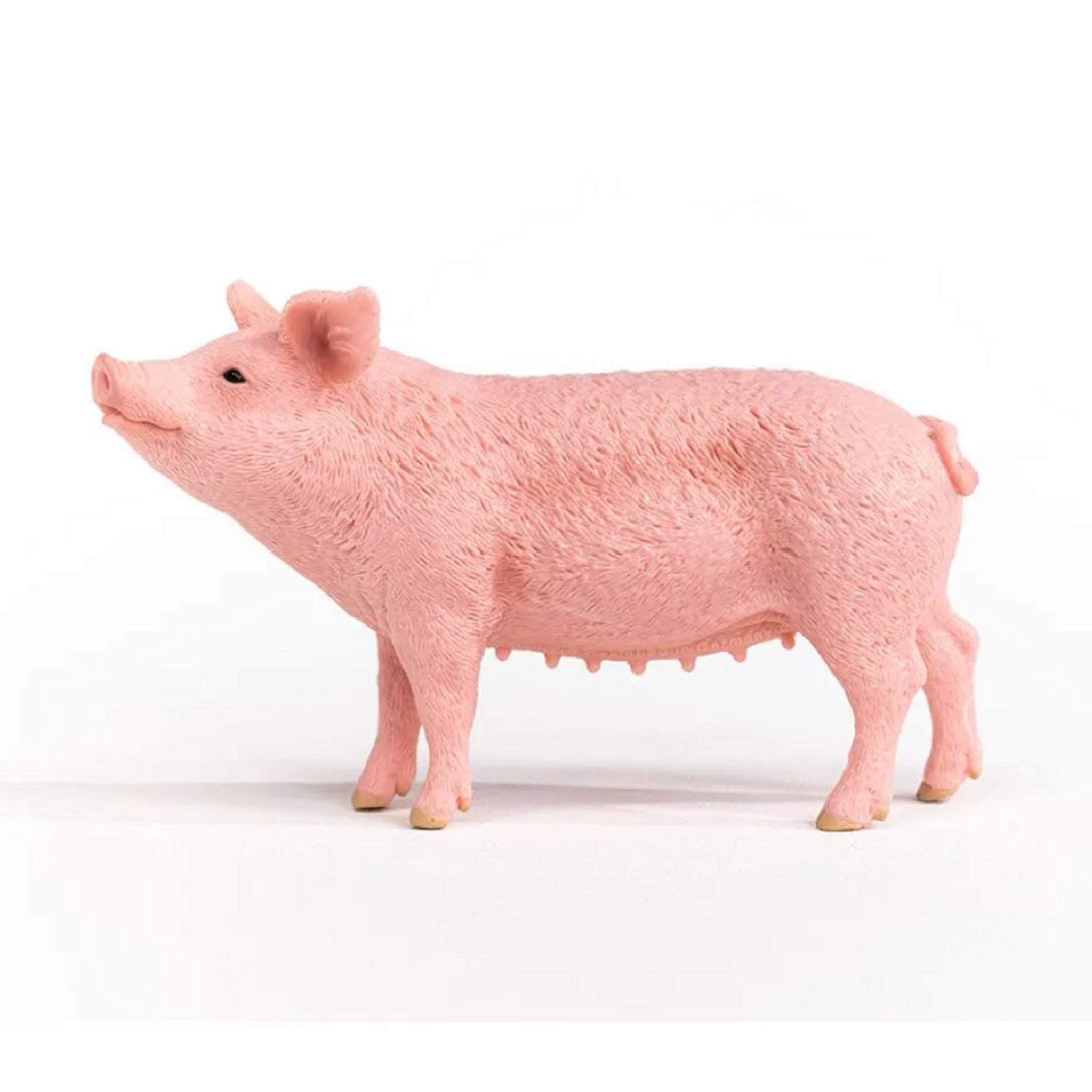 Schleich - Pig