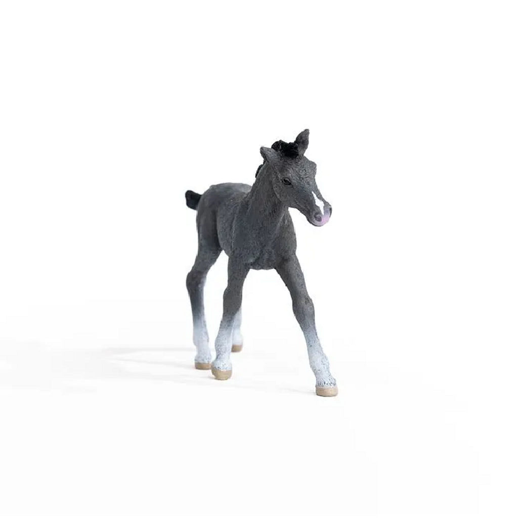 Schleich - Trakehner Foal