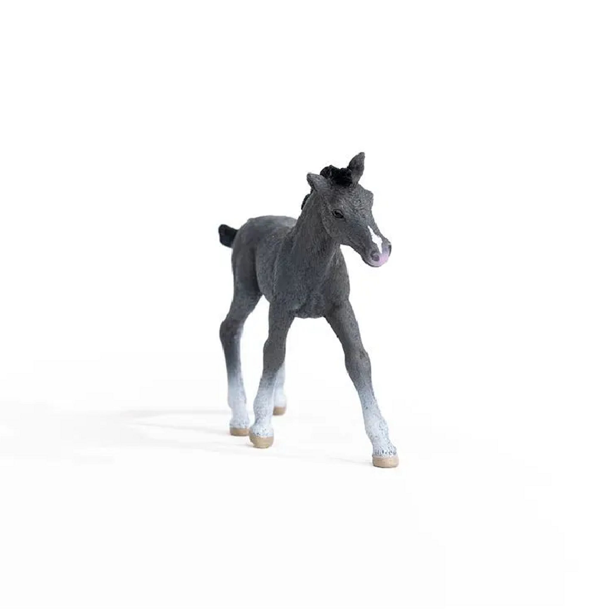 Schleich - Trakehner Foal