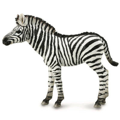 Collecta - Zebra Foal