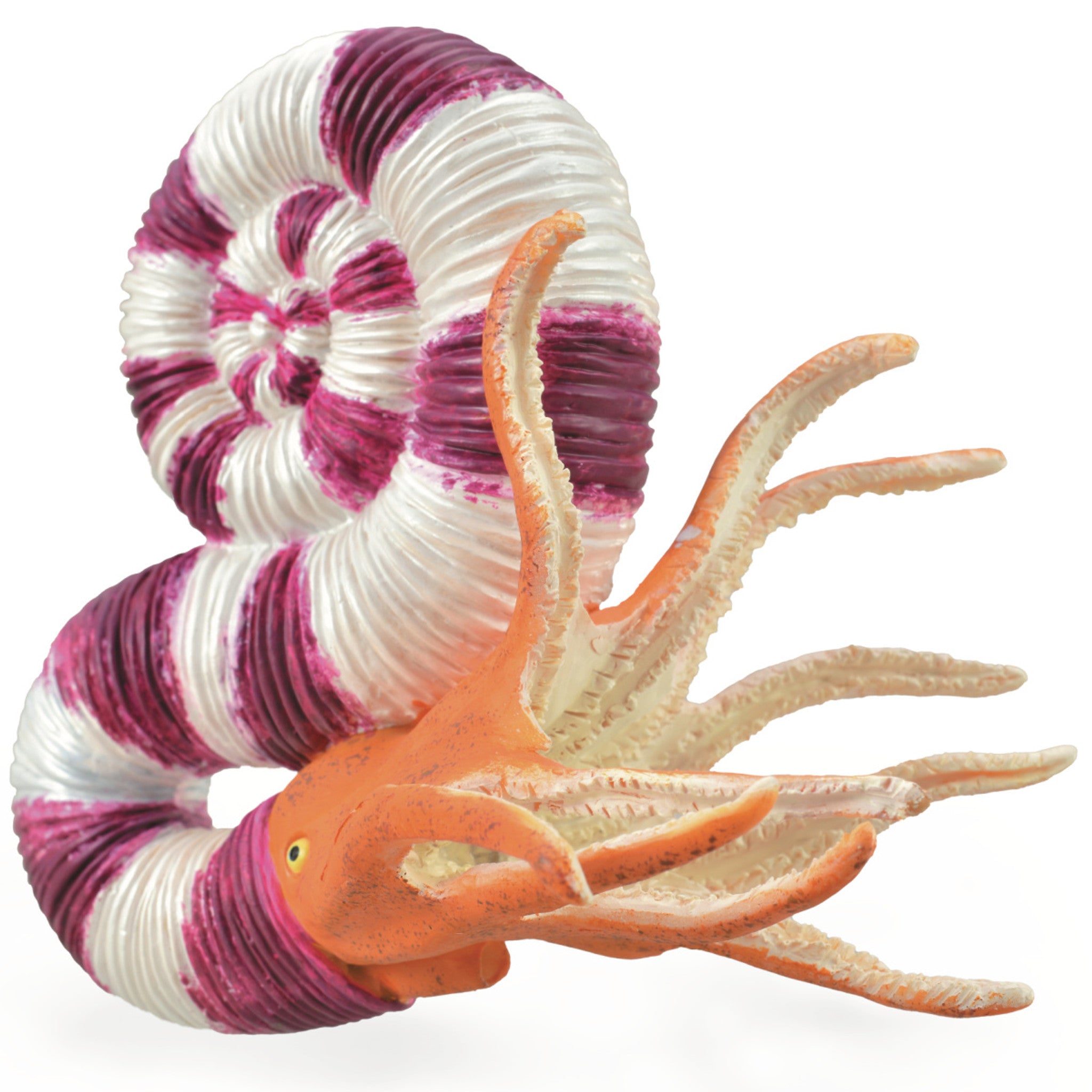 Collecta - Pravitoceras