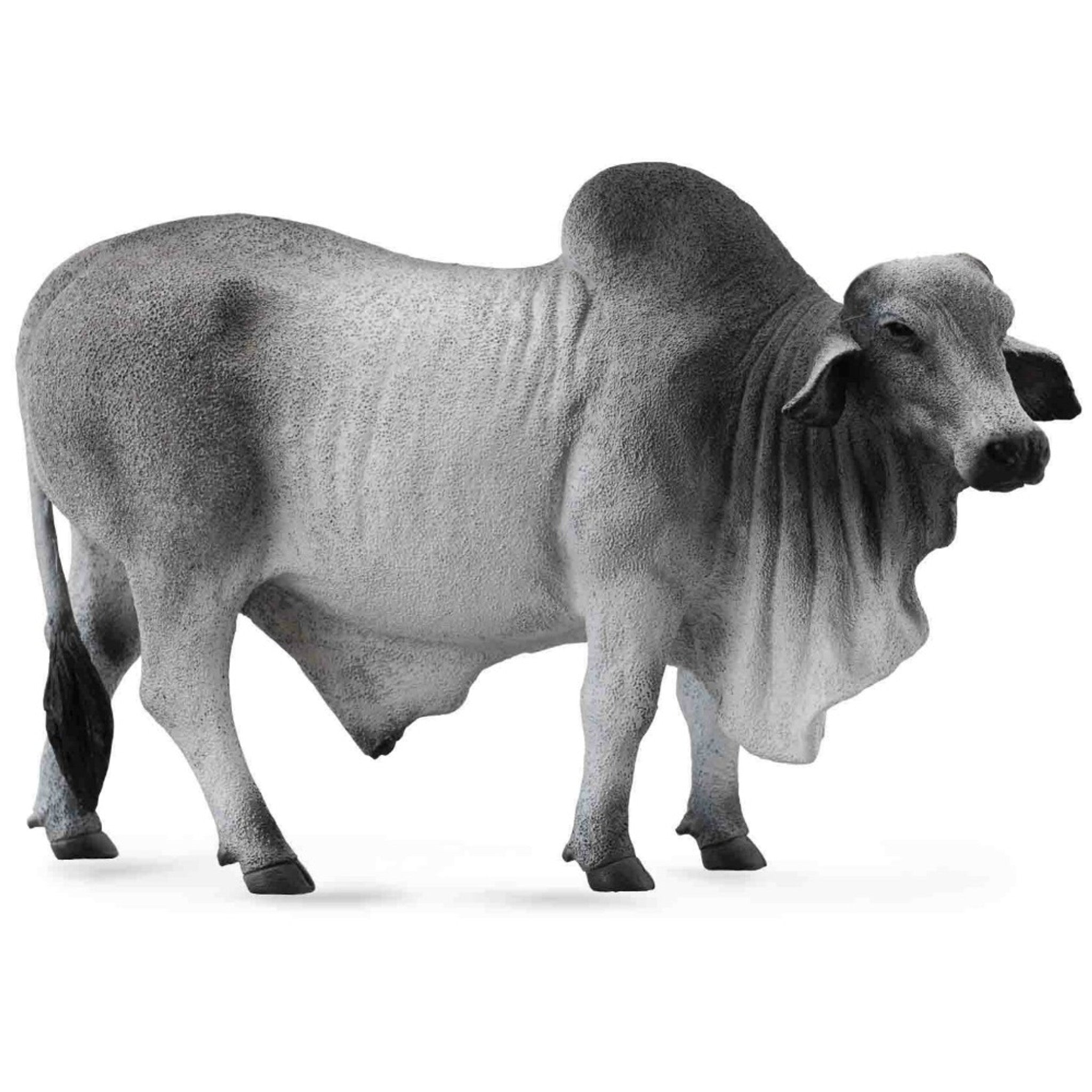 Collecta - Brahman Bull Grey