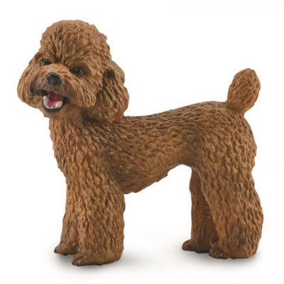 Collecta - Poodle