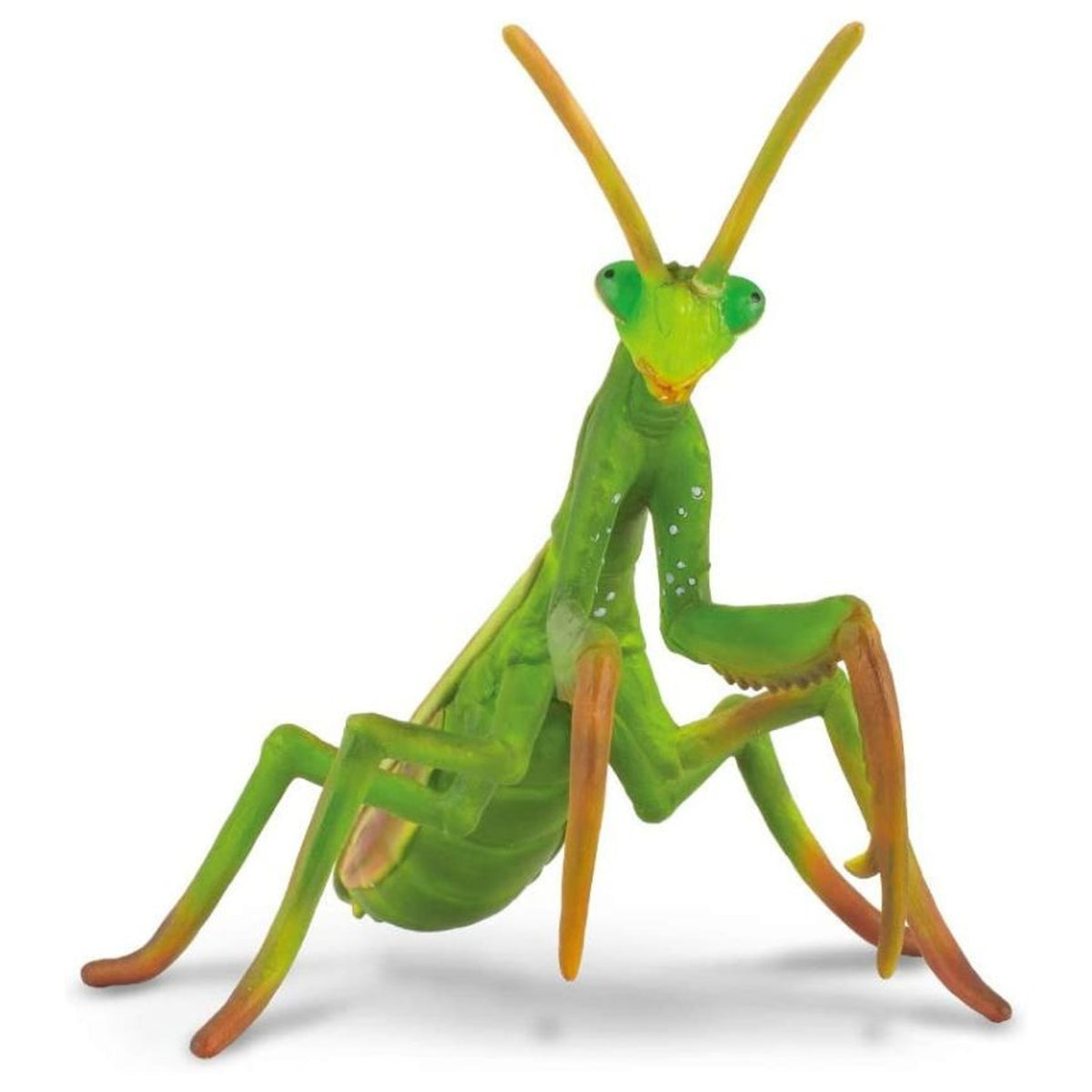 Collecta - Praying Mantis | The Play Room