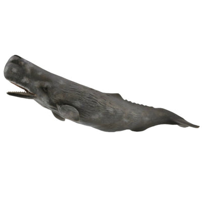 Collecta - Sperm Whale