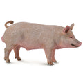 Collecta - Boar