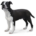 Collecta - American Staffordshire Terrier