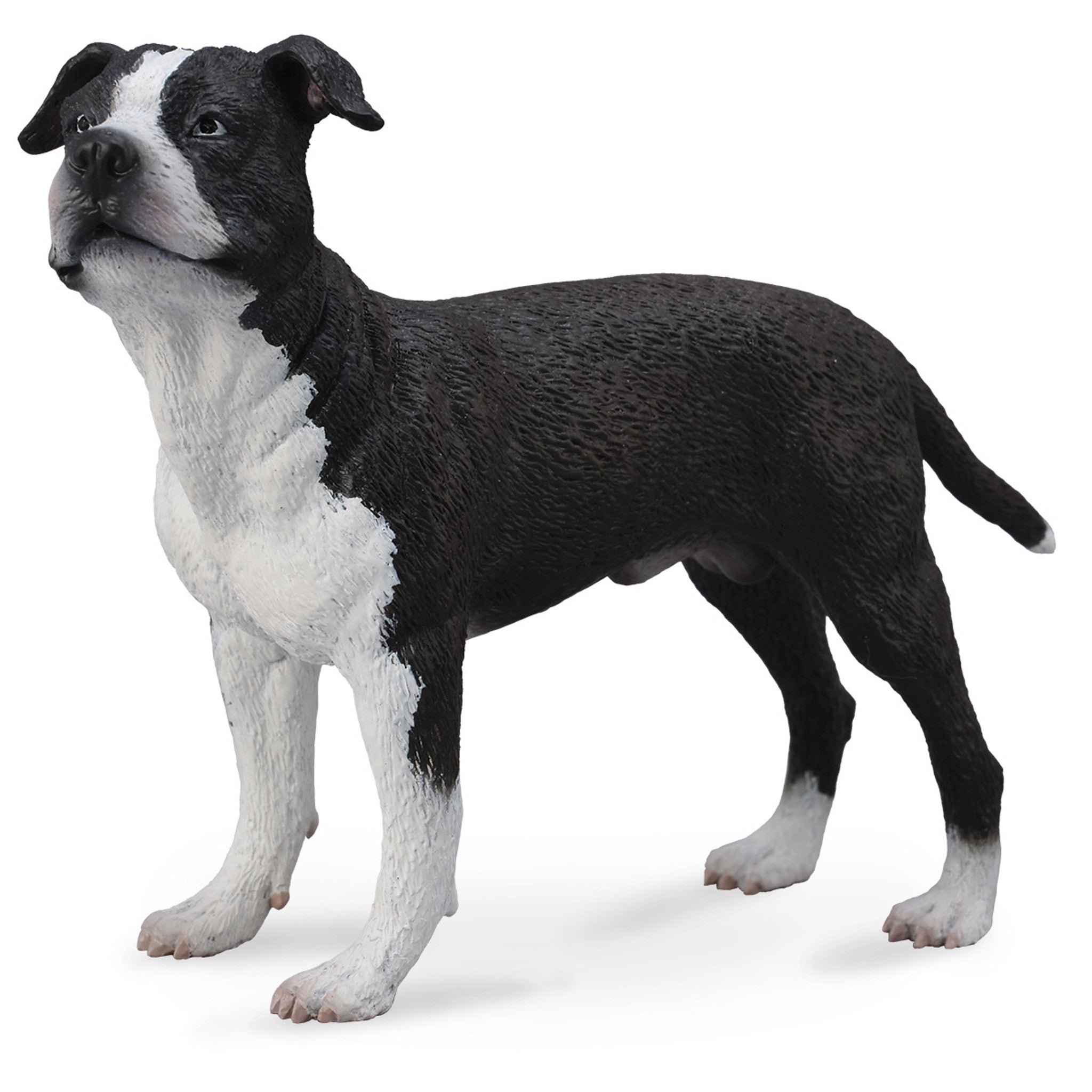 Collecta - American Staffordshire Terrier
