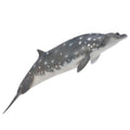 Collecta - Blainvilles Beaked Whale