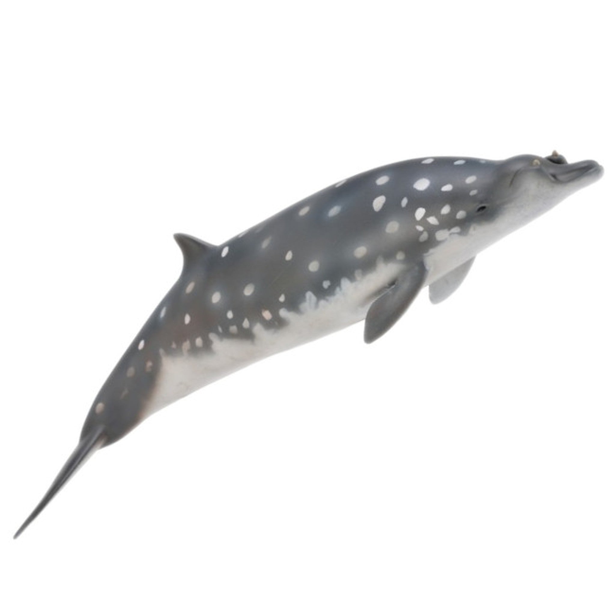 Collecta - Blainvilles Beaked Whale