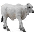 Collecta - Brahman Calf Grey