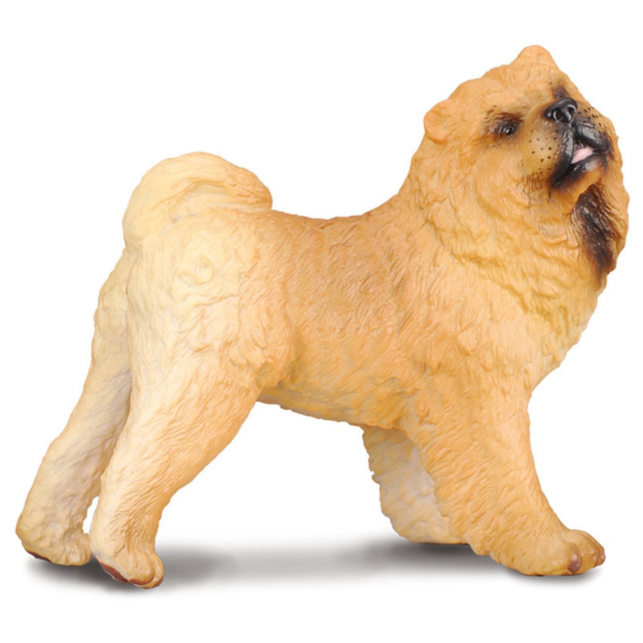 Collecta - Chow Chow