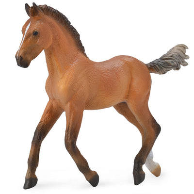 Collecta - Hanoverian Foal Bay