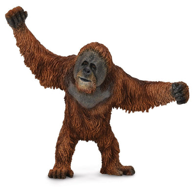 Collecta - Orangutan