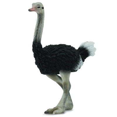 Collecta - Ostrich