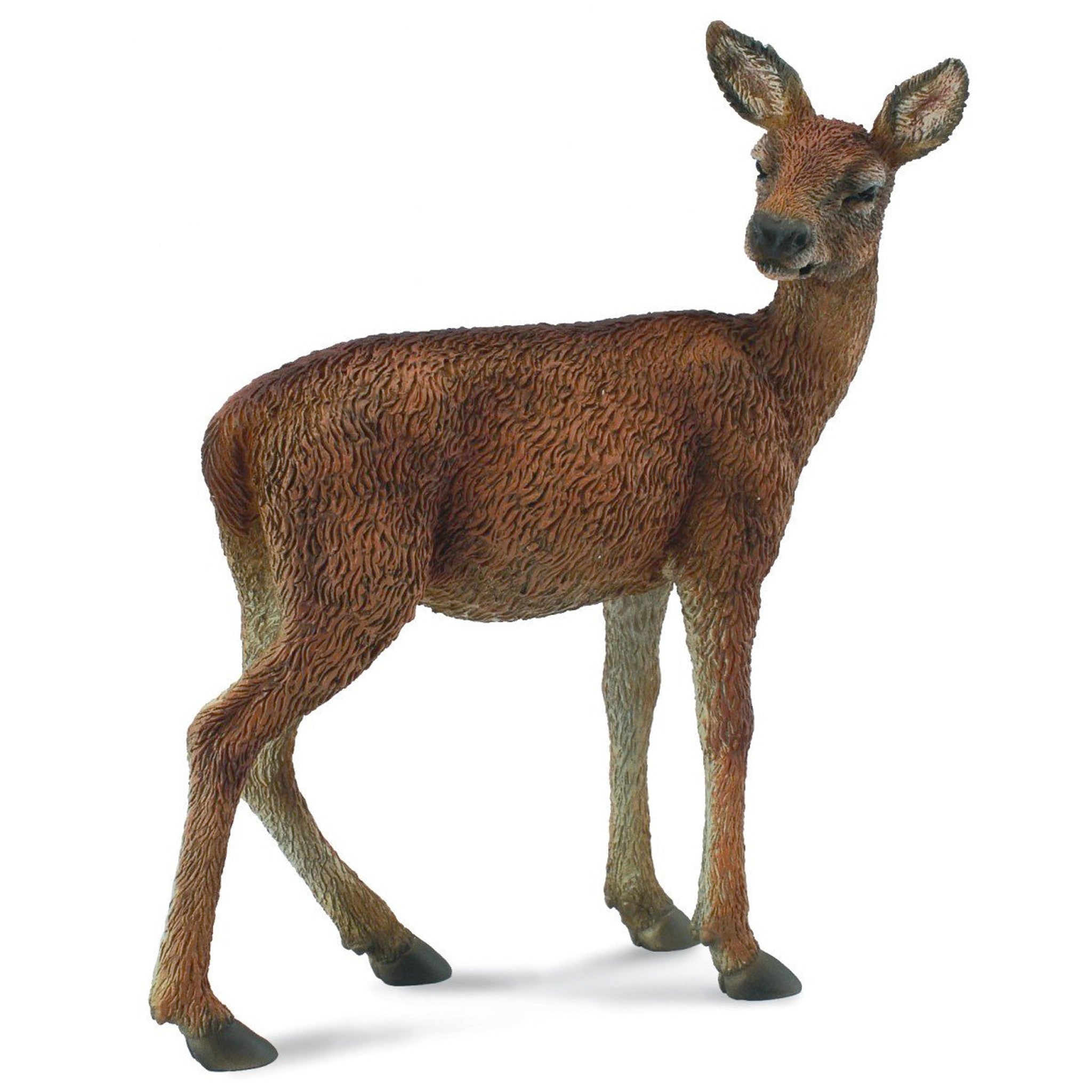Collecta - Red Deer Hind (M)