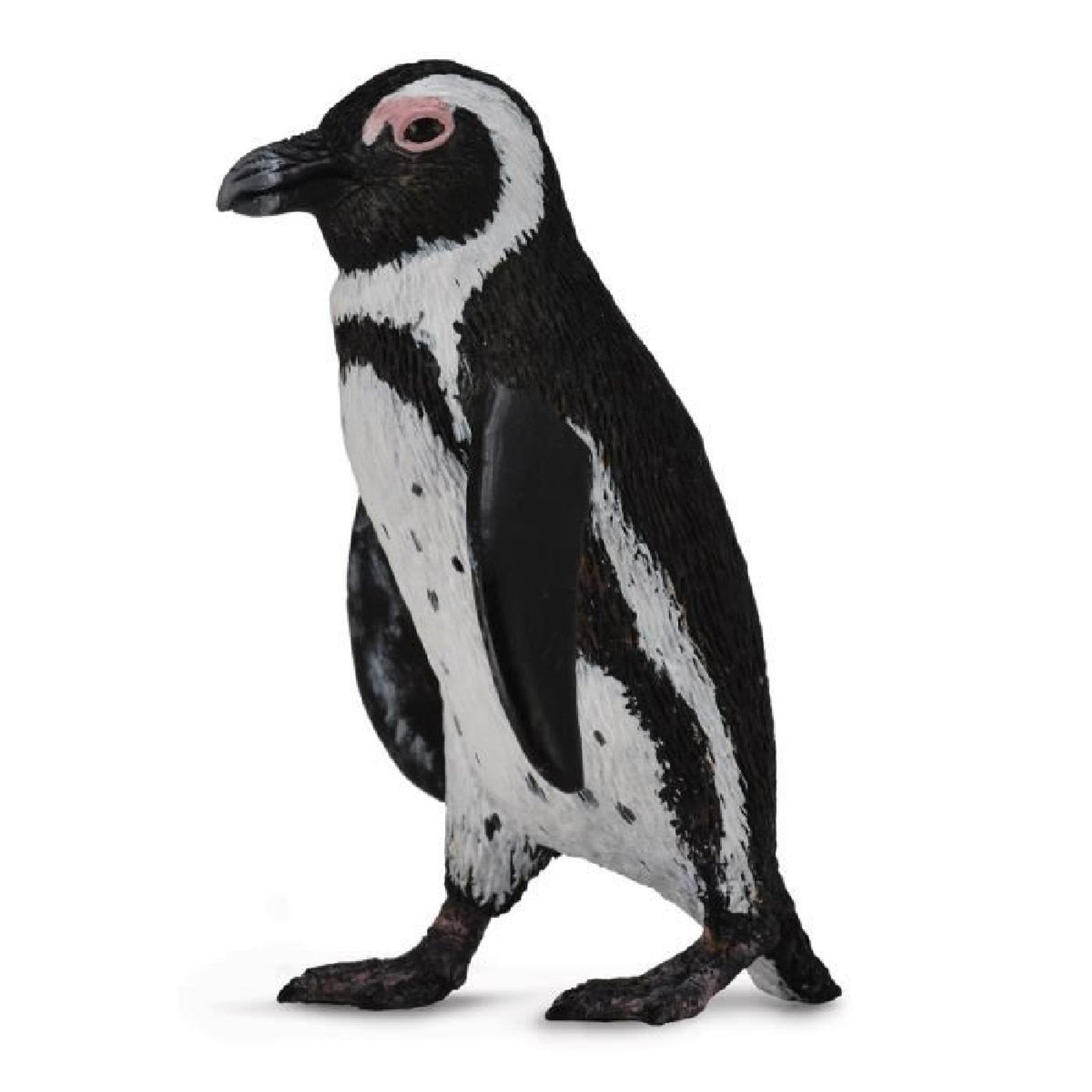 Collecta - South African Penguin