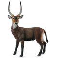 Collecta - Waterbuck