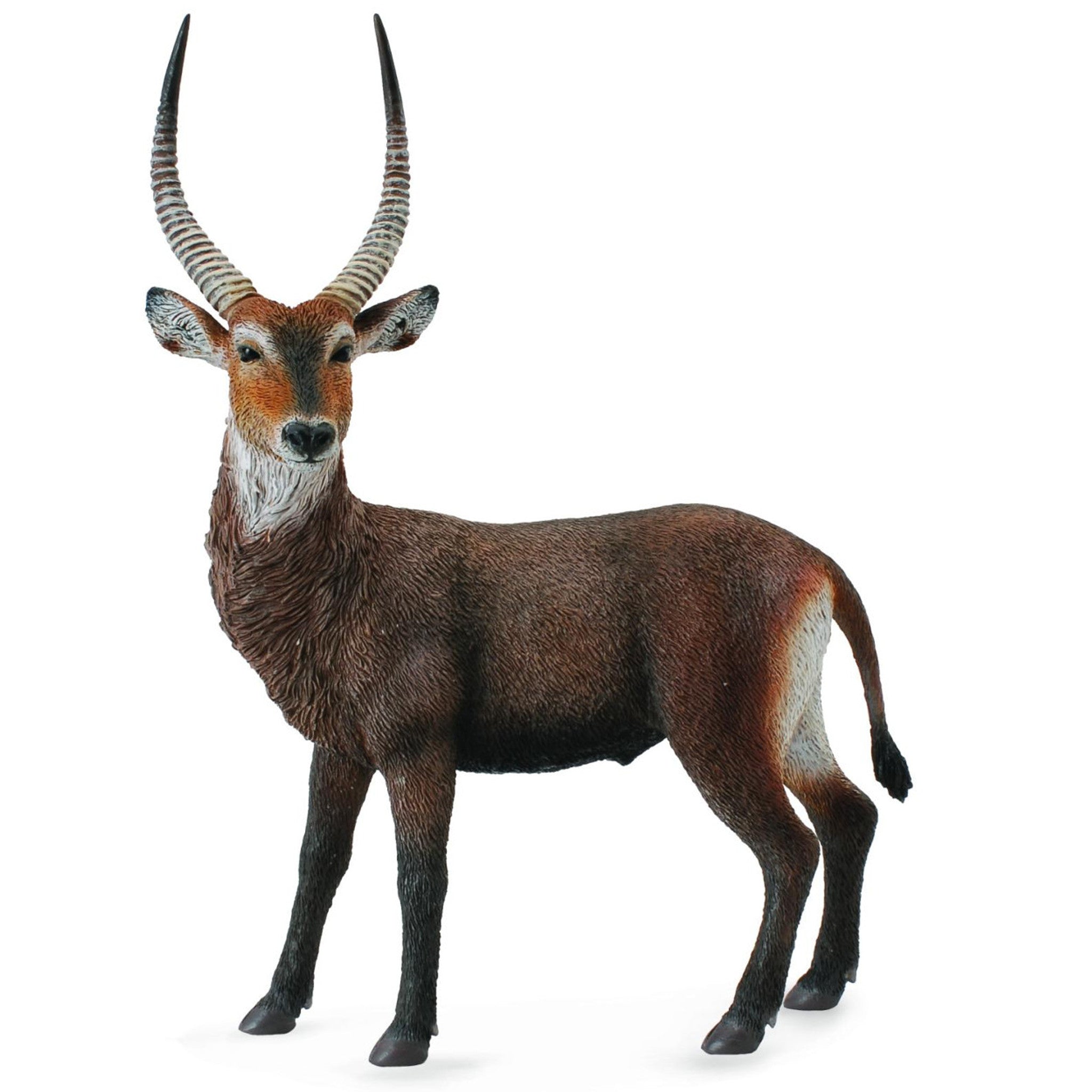 Collecta - Waterbuck