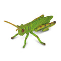 Collecta - Grasshopper