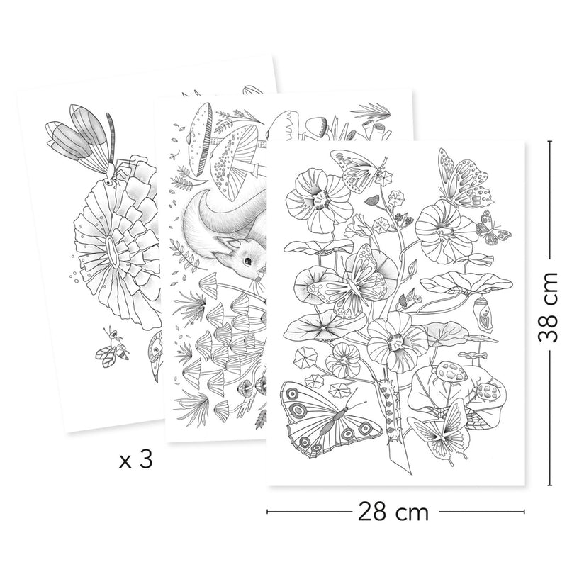 Djeco - Colouring Gallery - Naturalist