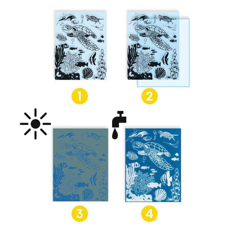 Djeco - Cyanotype Sealife