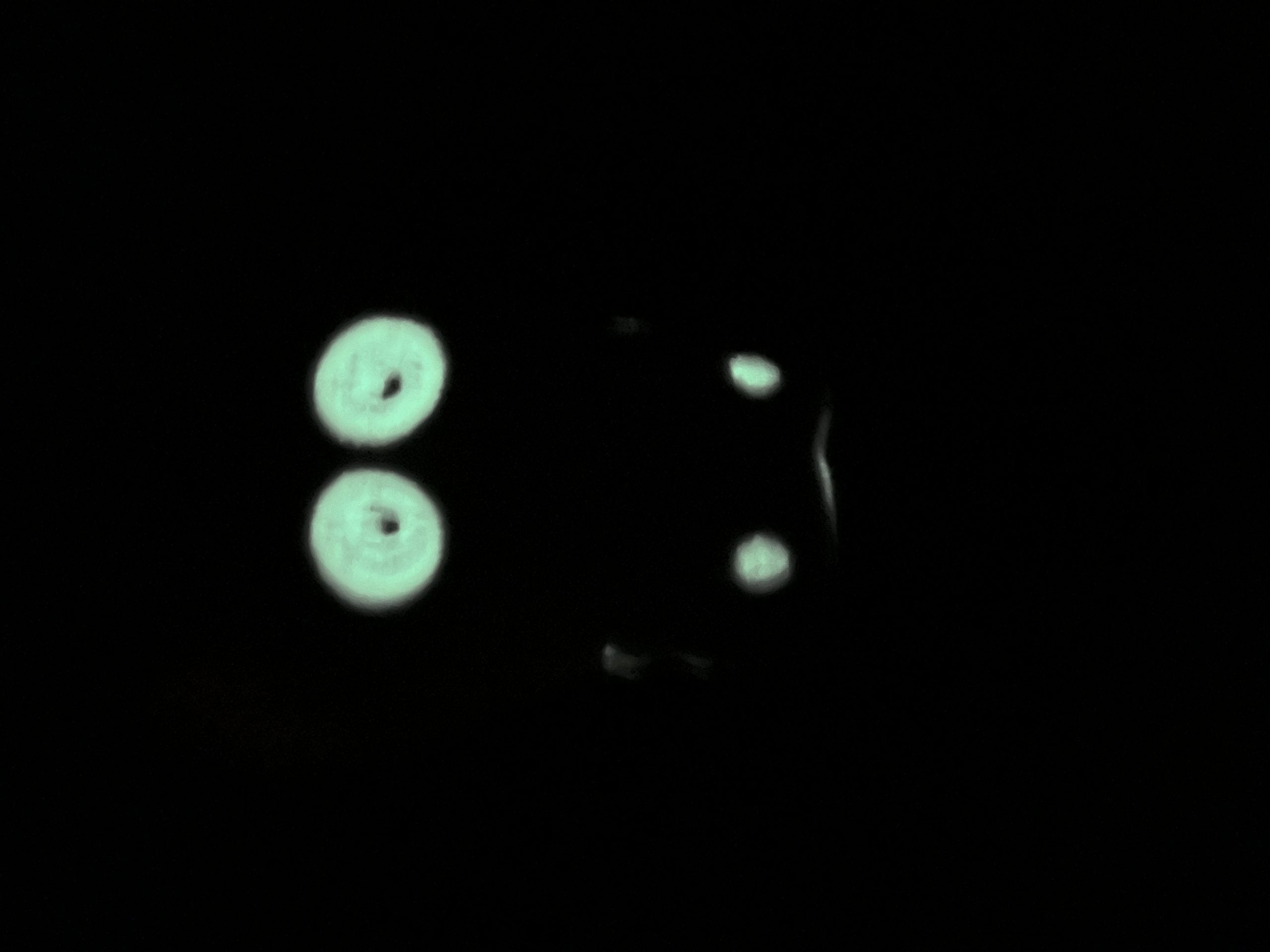 Huggable - Glow-in-the-Dark Sorrel Snake