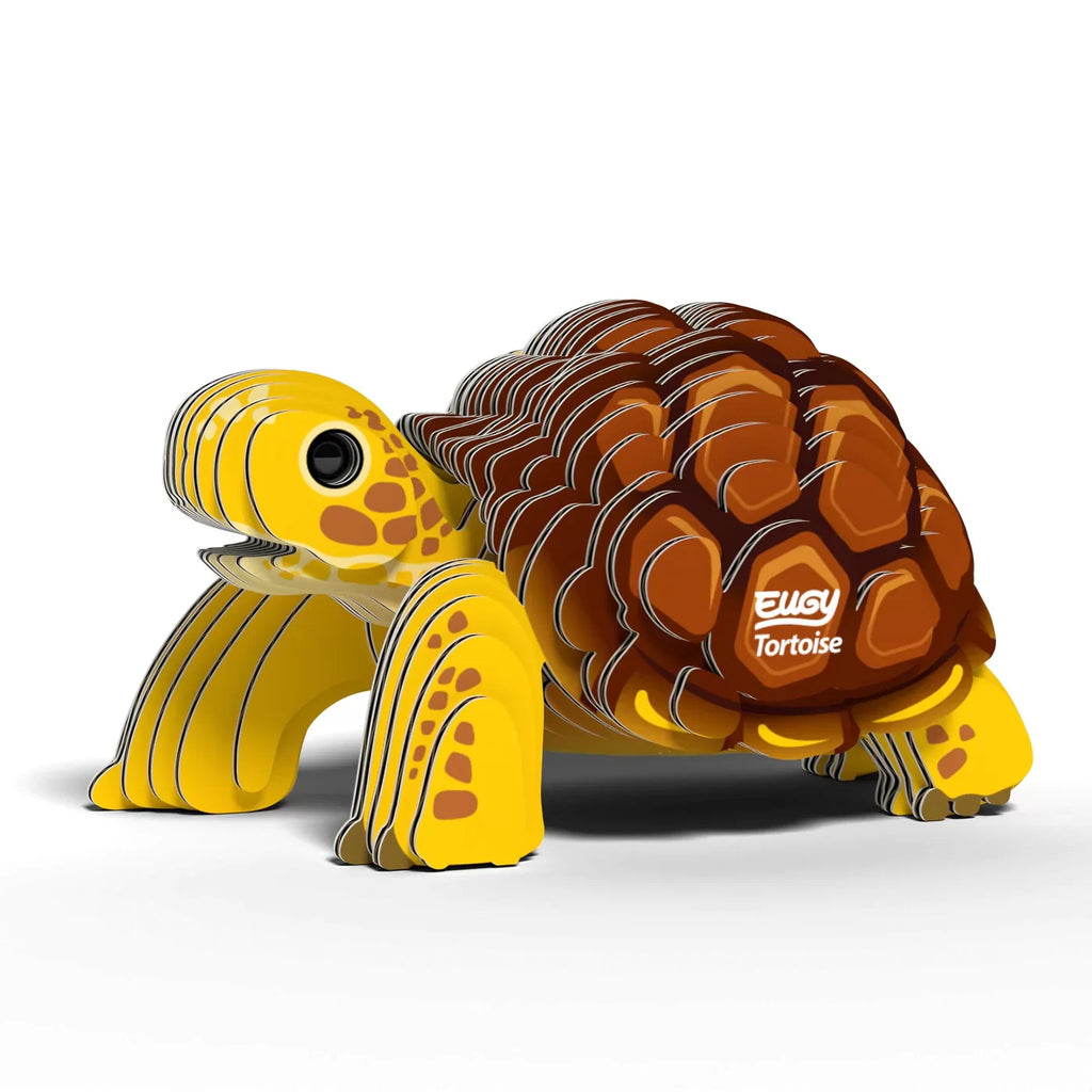 EUGY - Tortoise