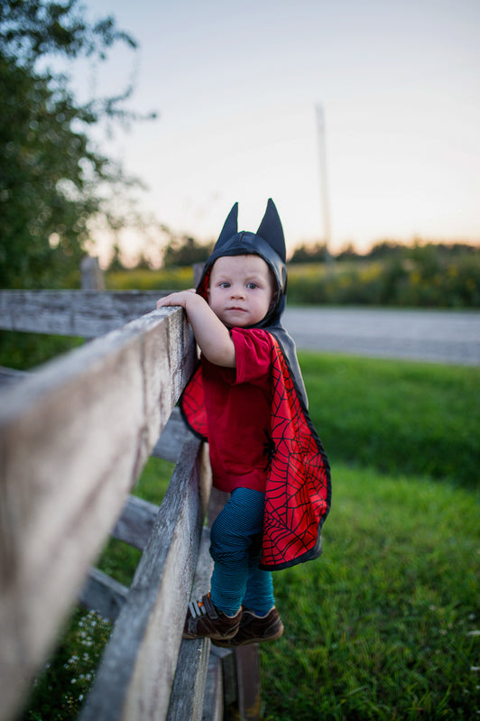 Great Pretenders - Toddler Reversible Spider & Bat Cape - Size 2-3
