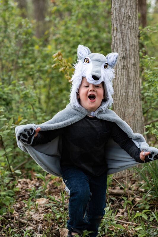 Great Pretenders - Woodland Storybook Wolf Cape Size 4-6