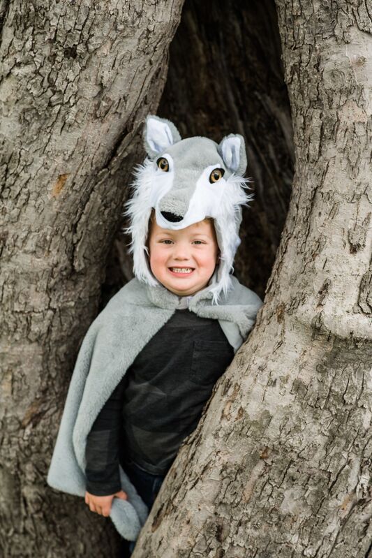 Great Pretenders - Woodland Storybook Wolf Cape Size 4-6