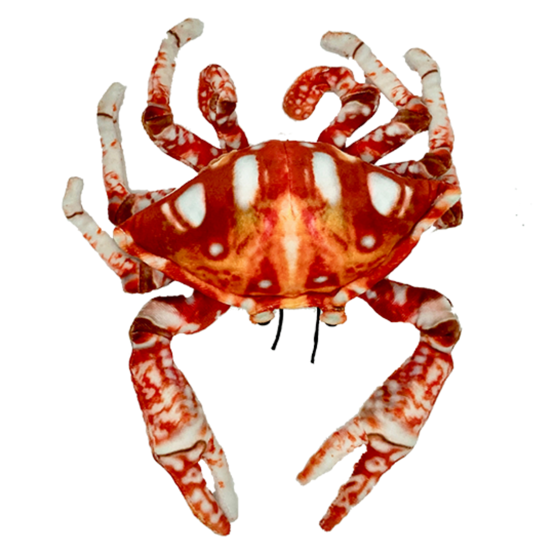 Huggable - Crabby Crab