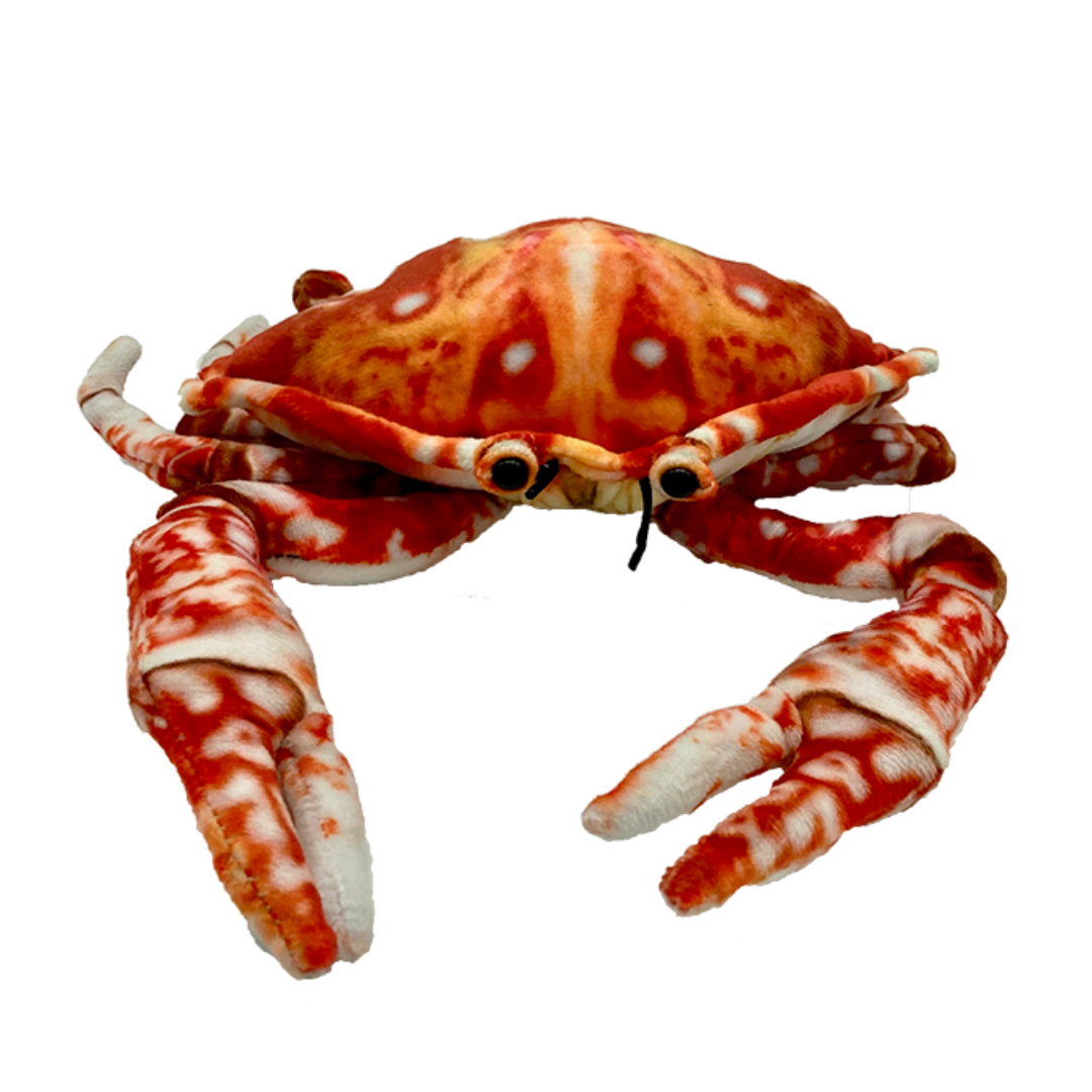 Huggable - Crabby Crab