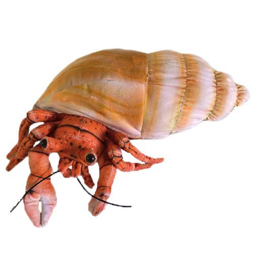 Huggable - Harvey Hermit Crab