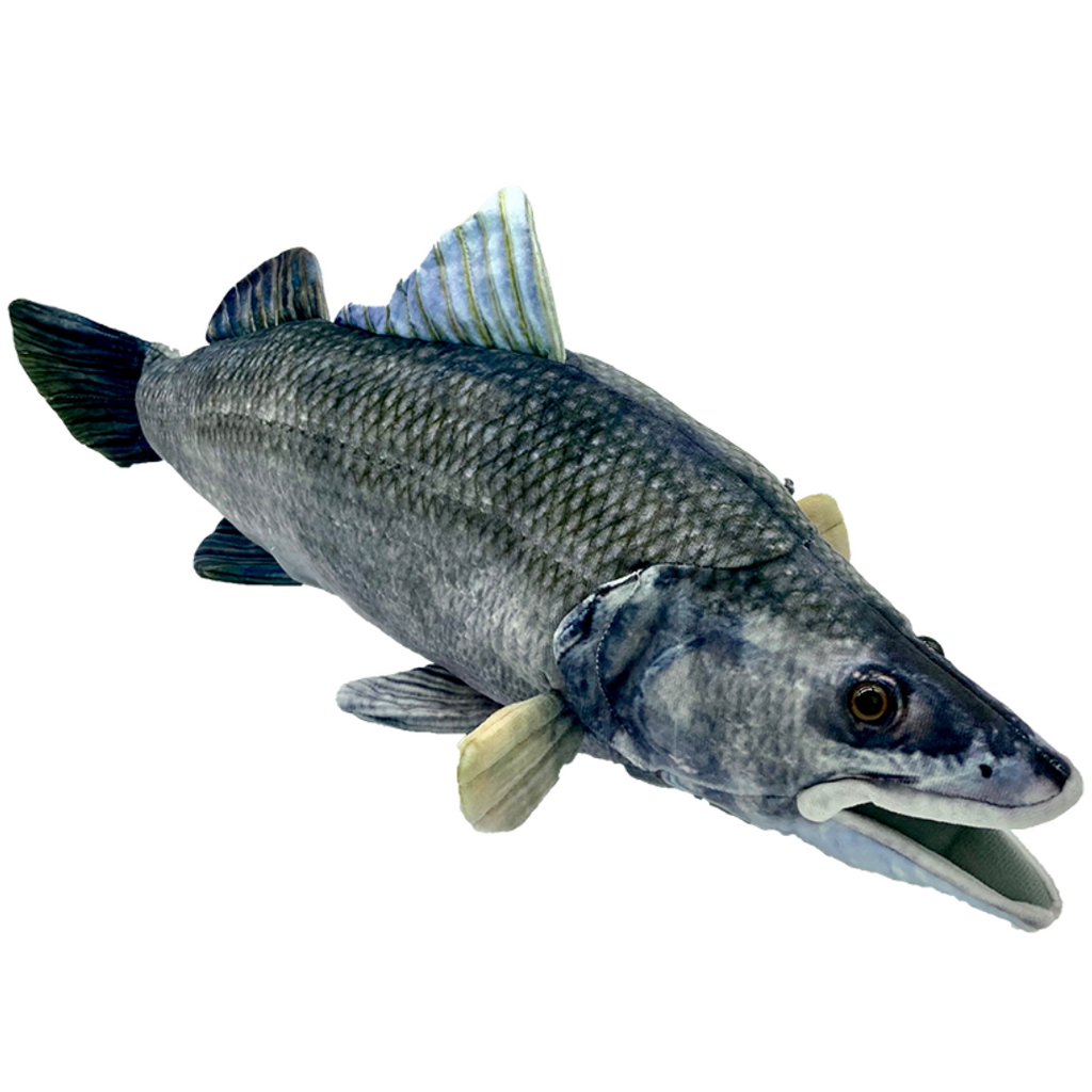 Huggable - Barry Barramundi