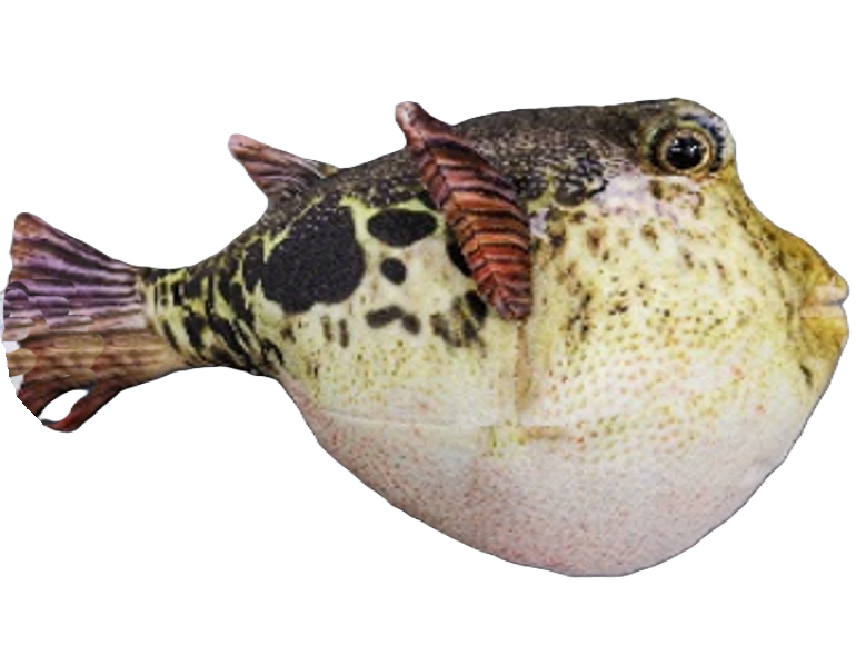 Huggable - Pablo Puffer Fish