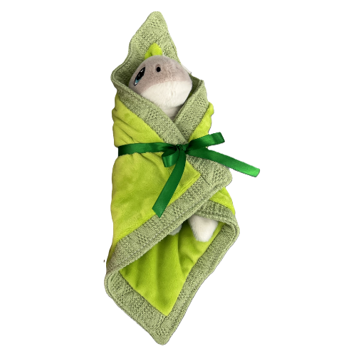 Huggable - Turtle Blankie