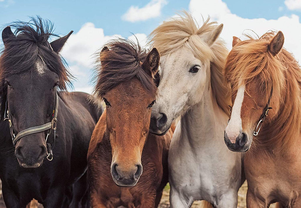 Ravensburger - 2 x 24Pc Horse Friends Puzzle