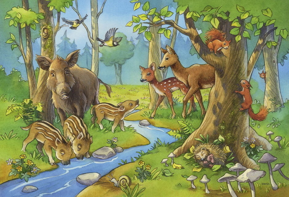Ravensburger - 2 x 24Pc Cute Forest Animals Puzzles