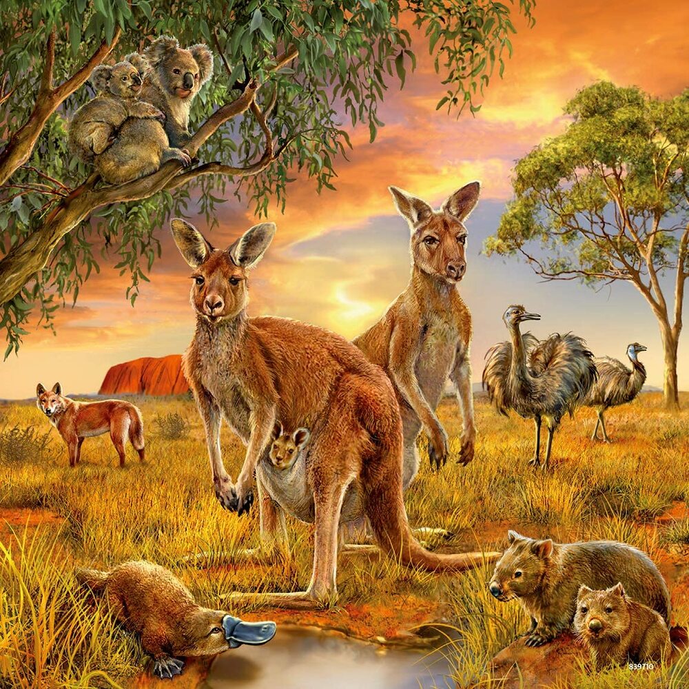 Ravensburger - 3x49pc Animals of the Earth Puzzle