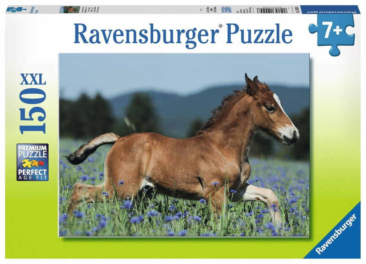 Ravensburger - Colt in the Field Puzzle 150pc