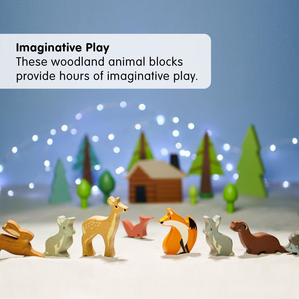 Tender Leaf Toys - 1 Piece Woodland Animals Display Shelf Set