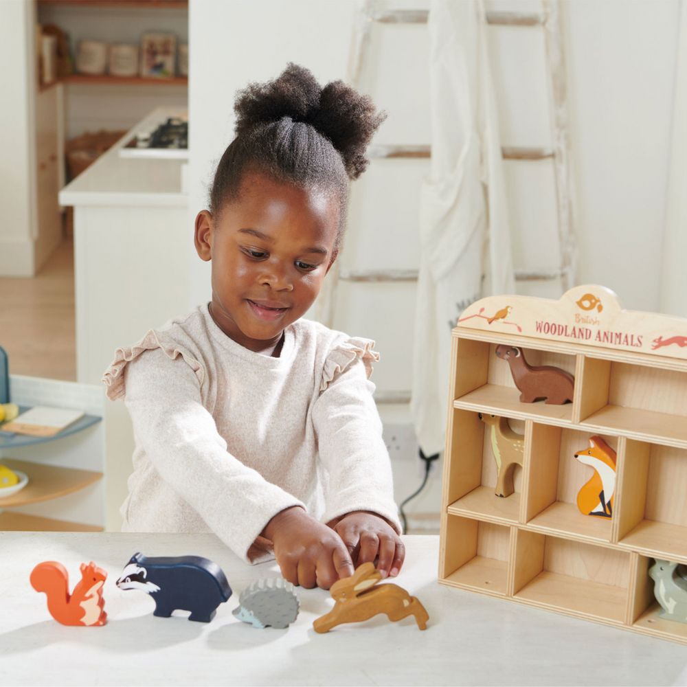 Tender Leaf Toys - 1 Piece Woodland Animals Display Shelf Set